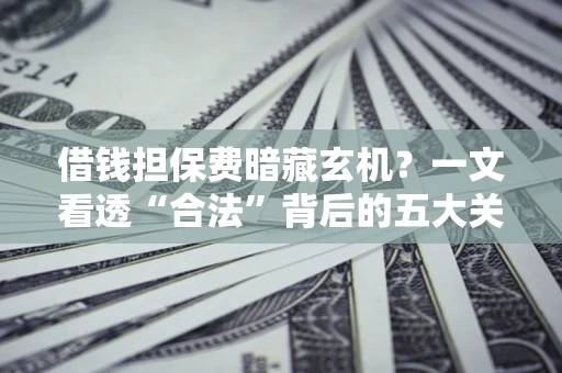 济南借钱担保费暗藏玄机？一文看透“合法”背后的五大关键陷阱