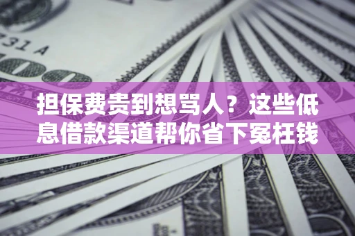 济南担保费贵到想骂人？这些低息借款渠道帮你省下冤枉钱