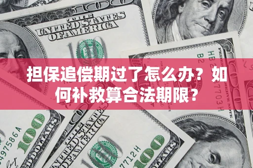 济南担保追偿期过了怎么办？如何补救算合法期限？