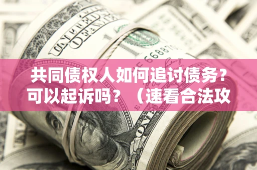 济南共同债权人如何追讨债务？可以起诉吗？（速看合法攻略）