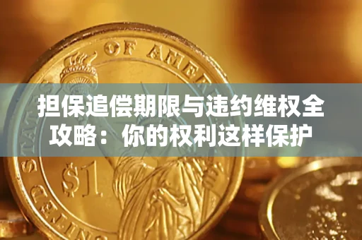 济南担保追偿期限与违约维权全攻略：你的权利这样保护